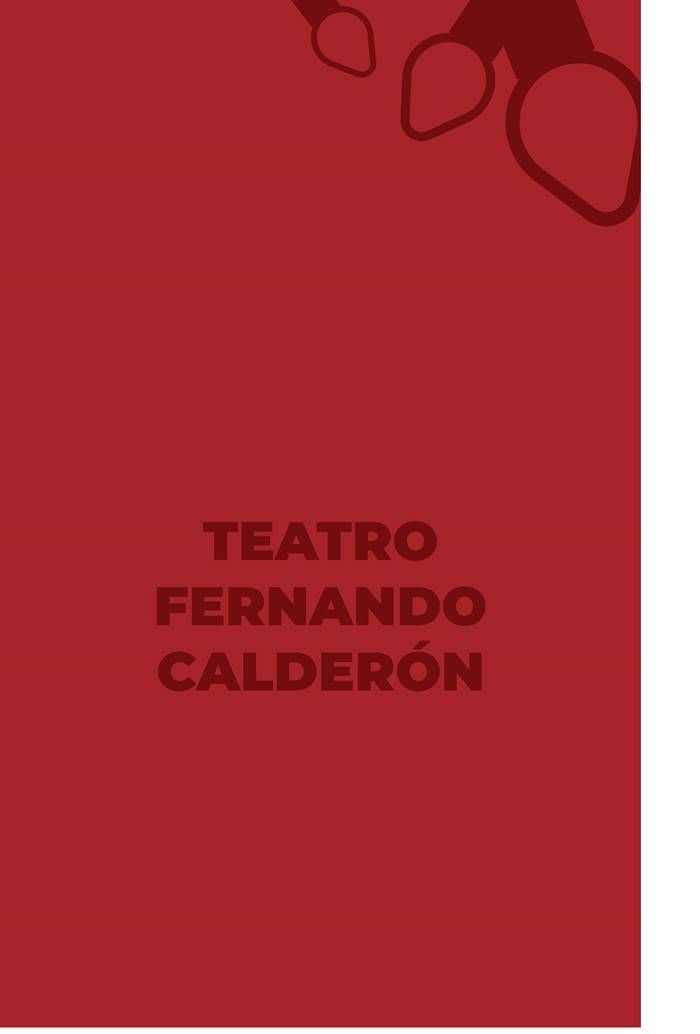 festival navidad16