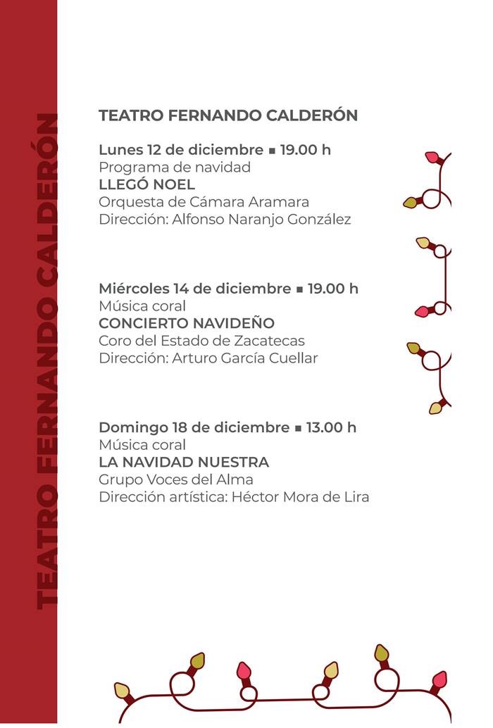 festival navidad17