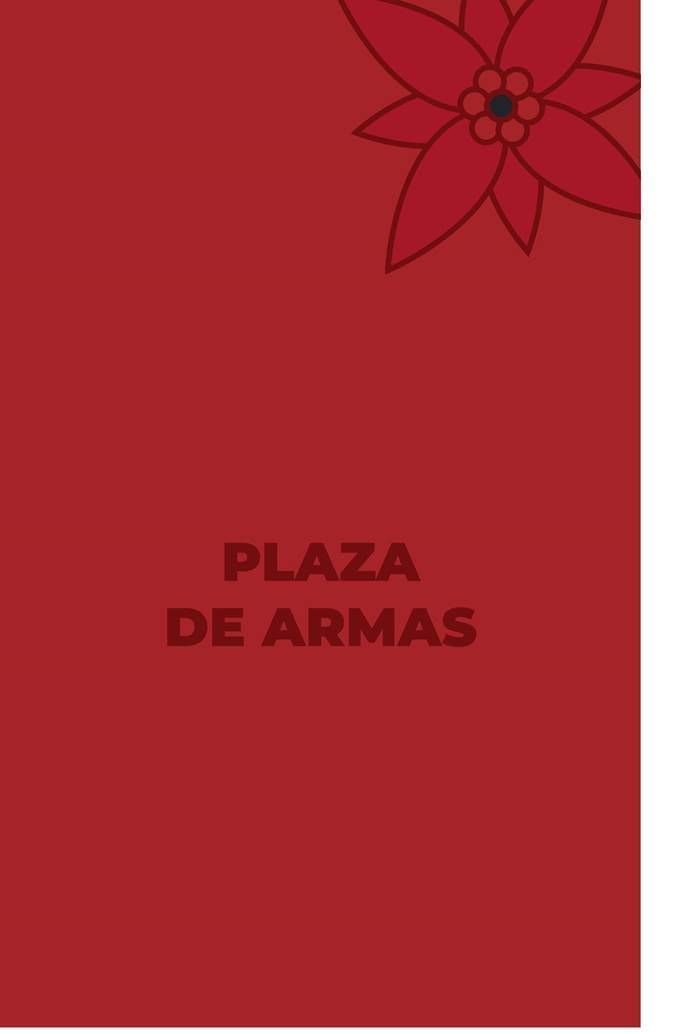 festival navidad4