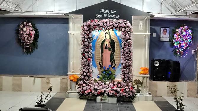 guadalupe 7
