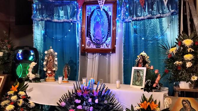 guadalupe 8