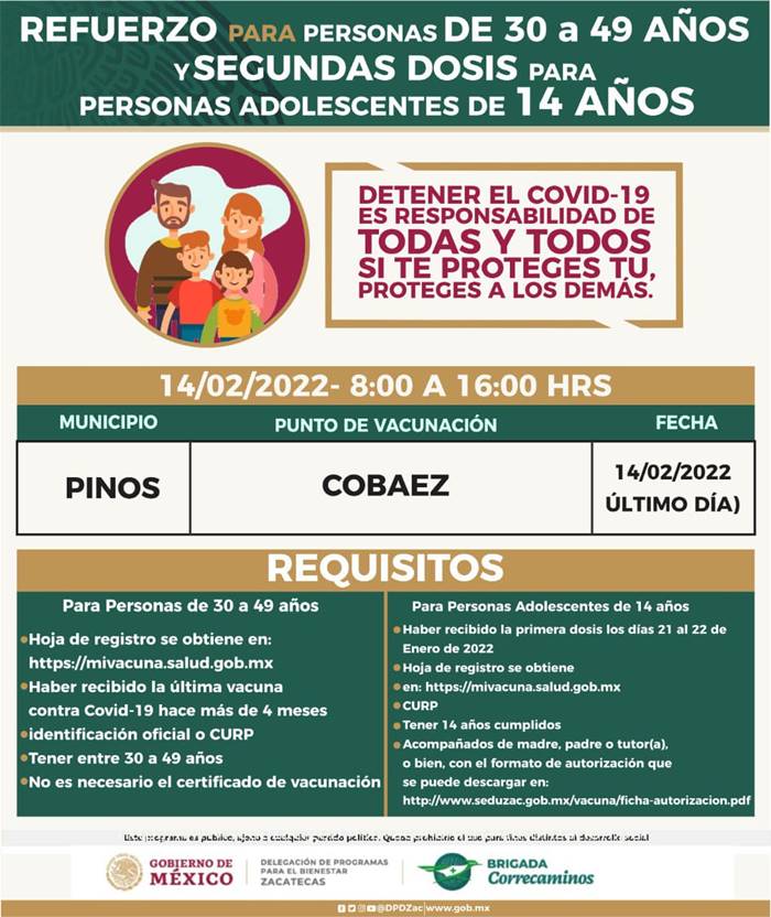 pinos