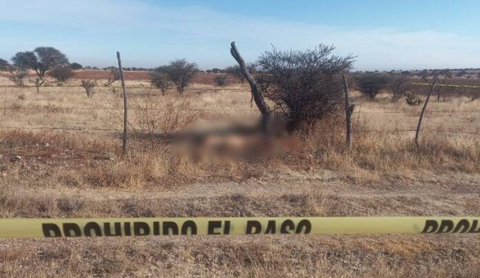 mujer_asesinada_trancoso-740