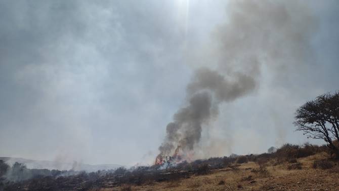 incendio 3