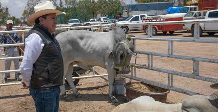 expoagropecuaria_pinos1-445