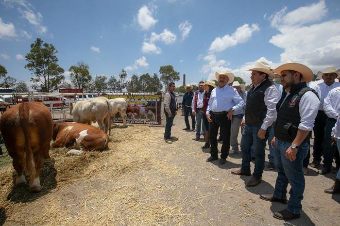 expoagropecuaria pinos3