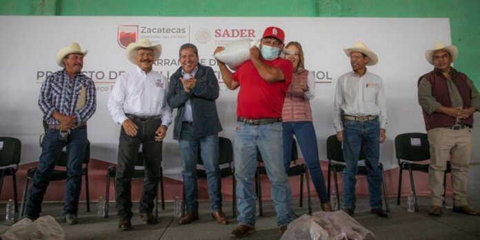 monreal-semilla-31f