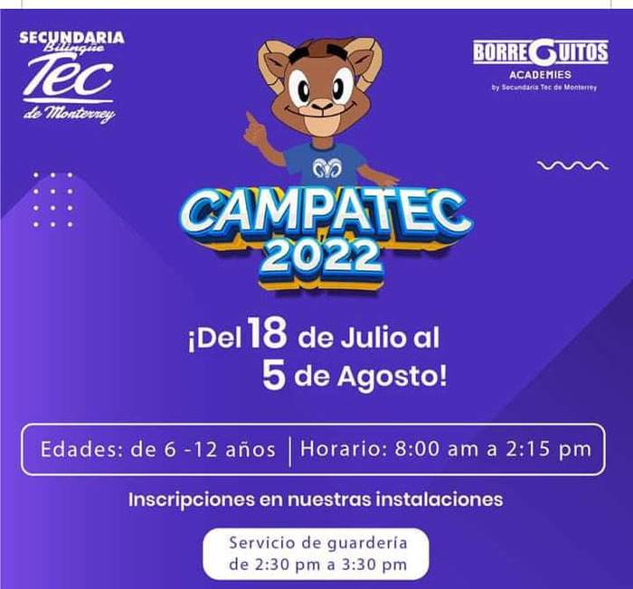 cursos verano 7