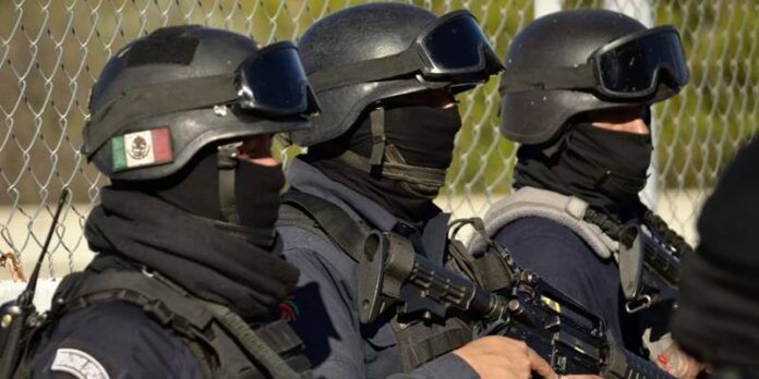 policia-estatal-d4d