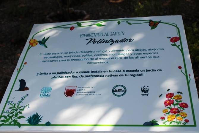jardin polinizador 4