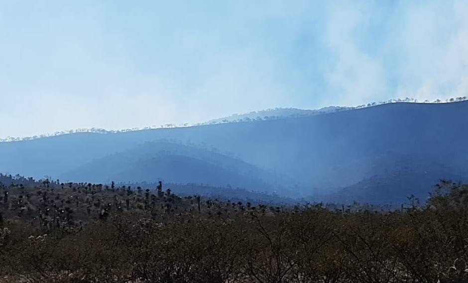 incendio concha oro1