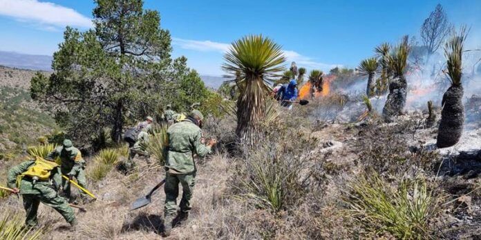 incendio-c7d