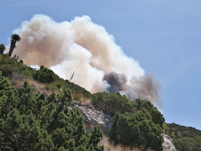 incendio 9
