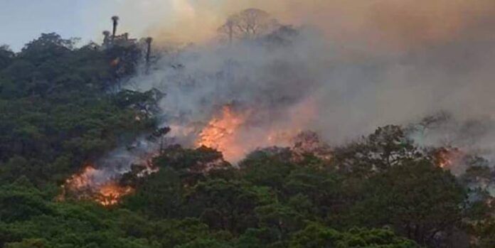 incendio-98f