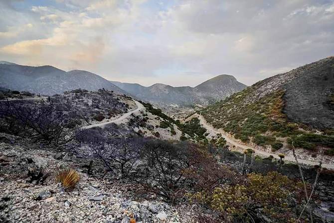 incendio 2