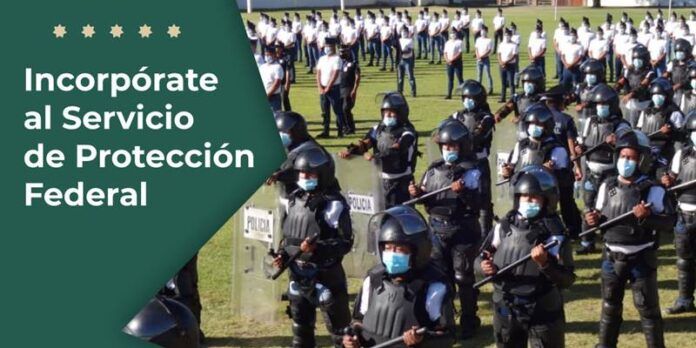 proteccion-federal-1-2c5