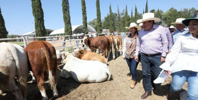 tianguis_tepechitlan1-464