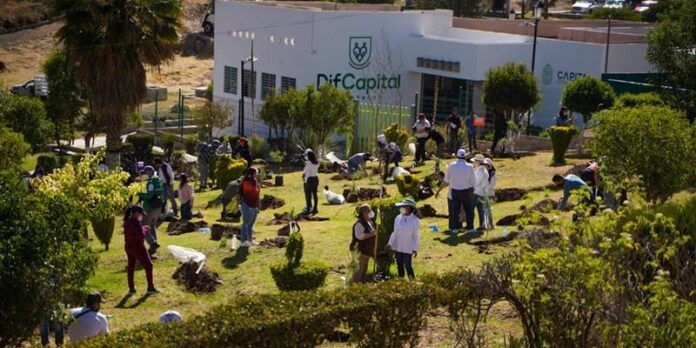 bosque-3-00d