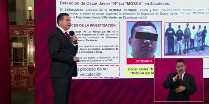 mosca-232