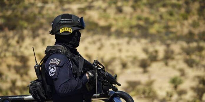 policia-17c