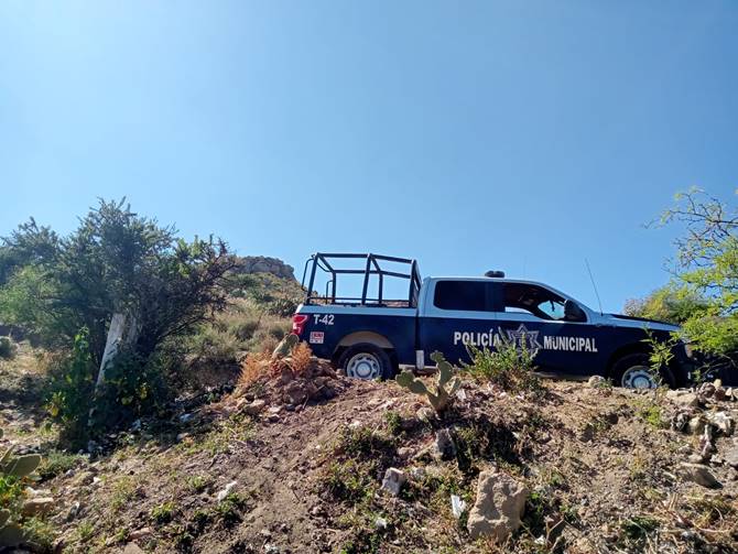 jaralillo 2