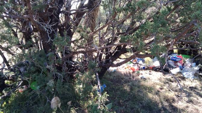 campamento 5