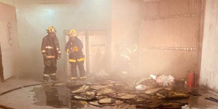 incendio_meson_merced1-d20