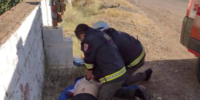 peregrino_muerto_villanueva1-831