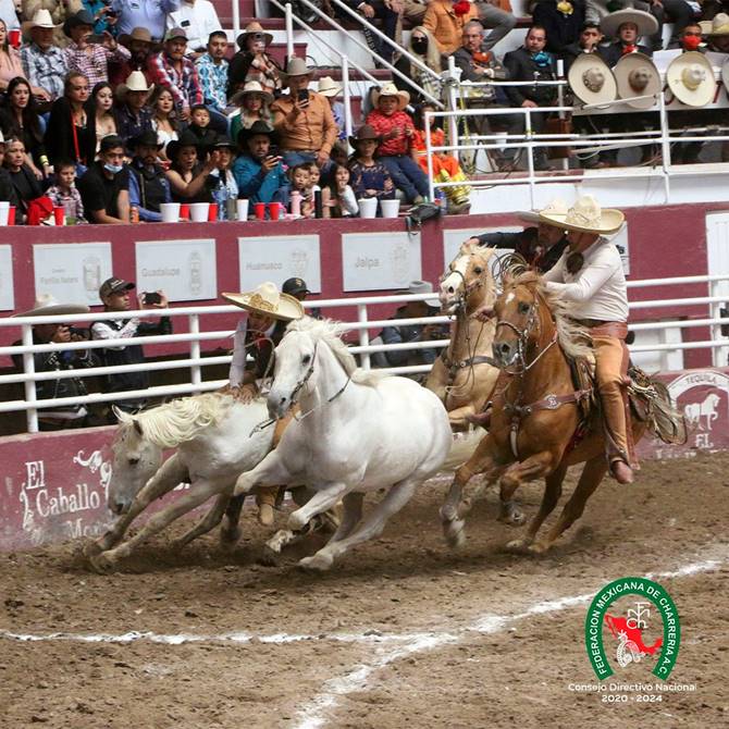 charreria 8