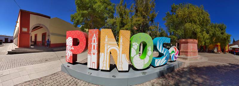 pinos 11