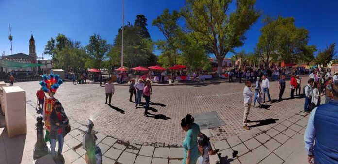 pinos-13-6c8