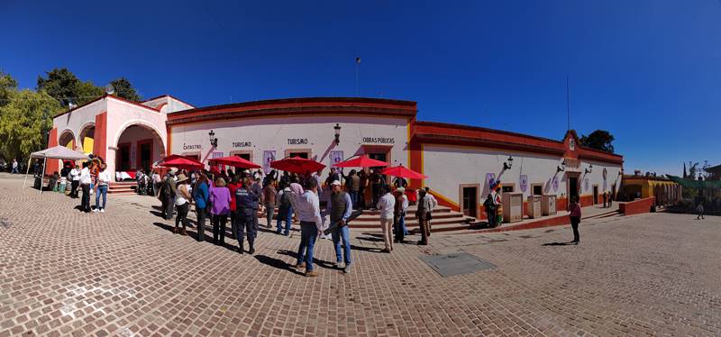 pinos 14