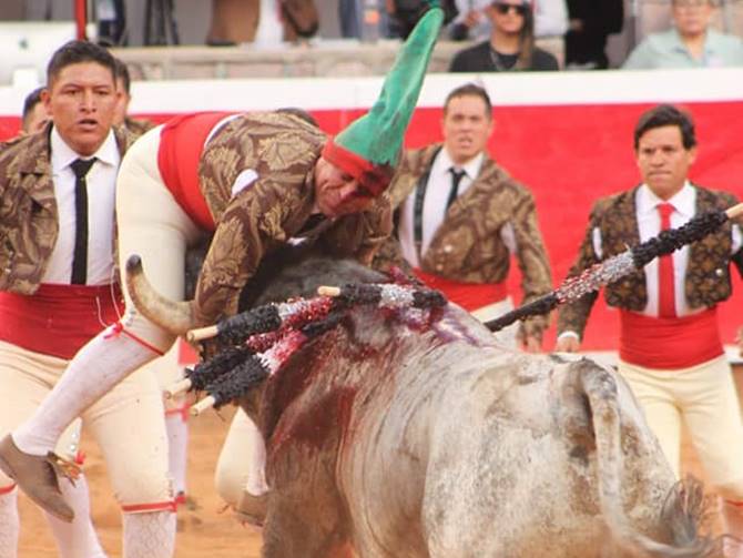 toros 10