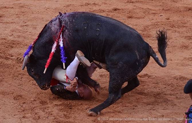toros 3
