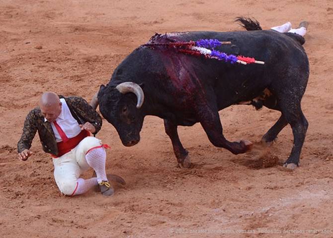 toros 5