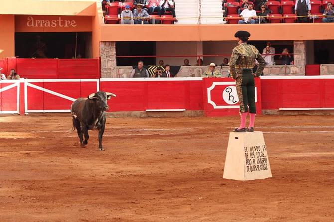 toros 8