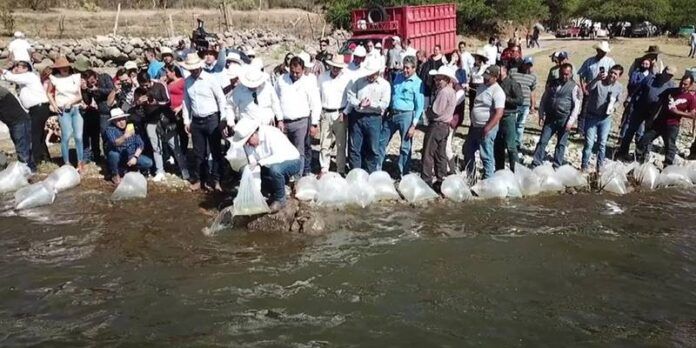 agua-monreal-b76