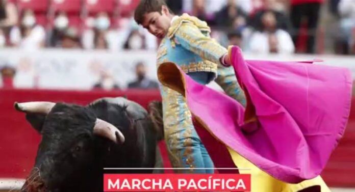 marcha-557