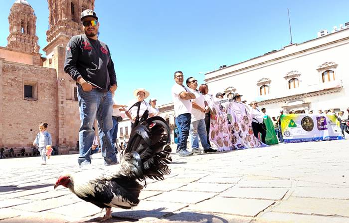 marcha tradiciones zacatecas 3