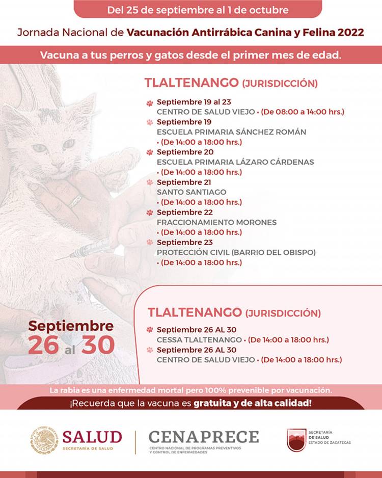 antirrabica 7