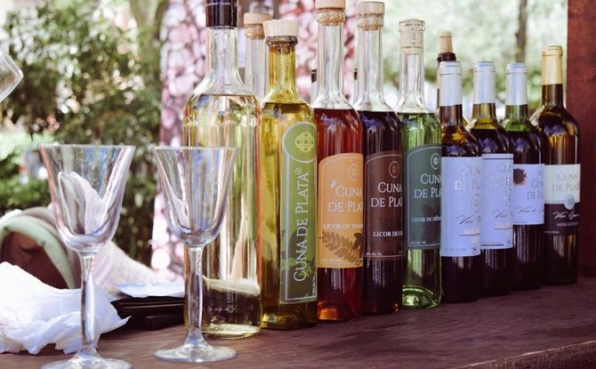 festival vino 3