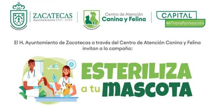 esteriliza-1-253