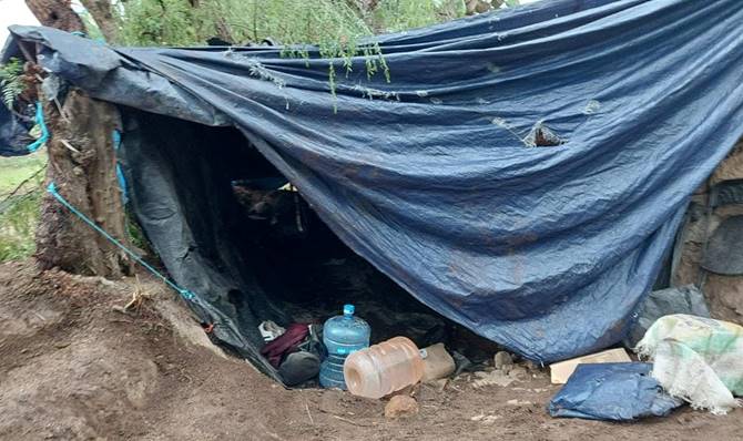 detenidos pinos 8