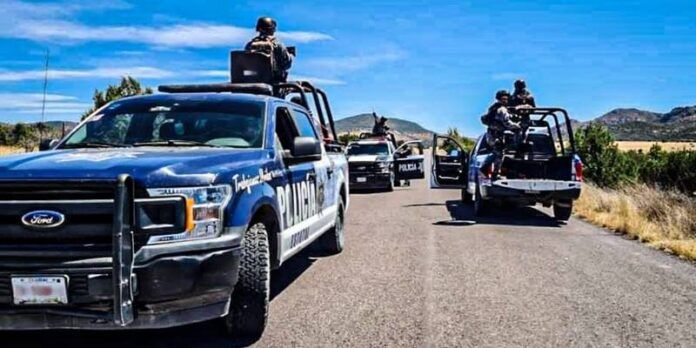 policia-3dd