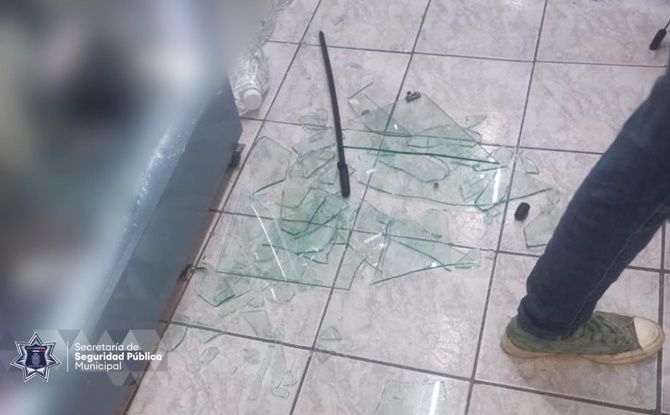 maltrato perro 1
