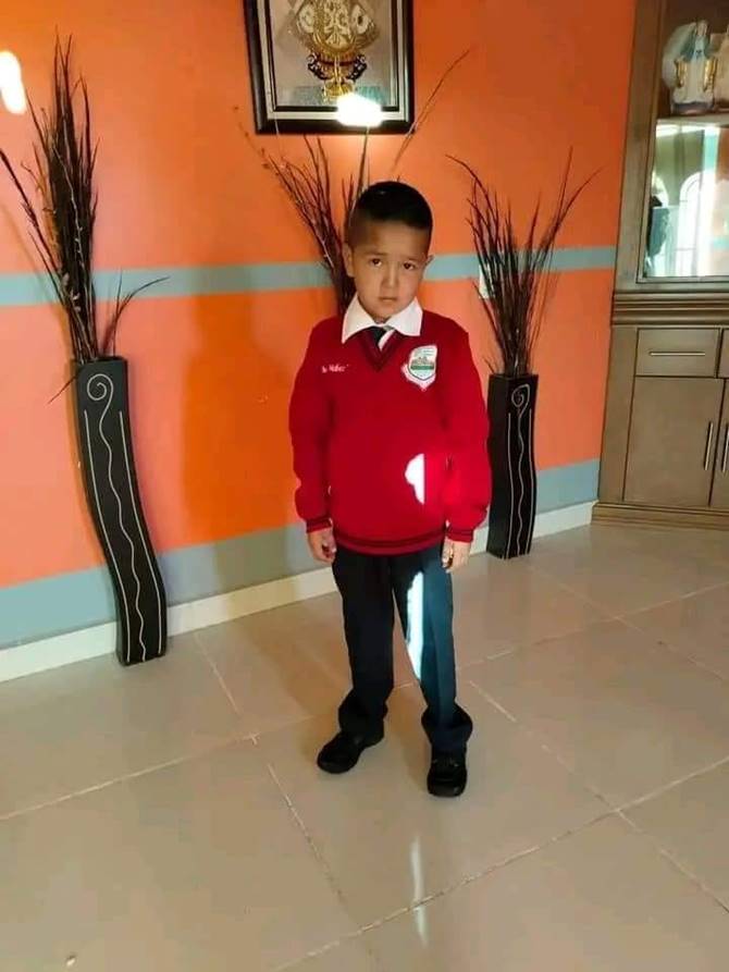 tadeo 2