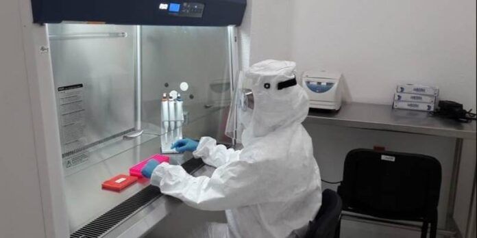 laboratorio-fe2