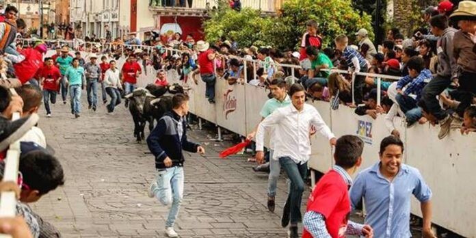 carnaval-jerez-0fe