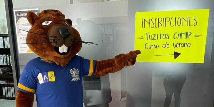 tuzitos-d28