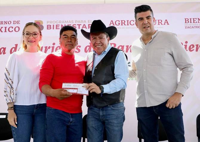tarjetas campo 2